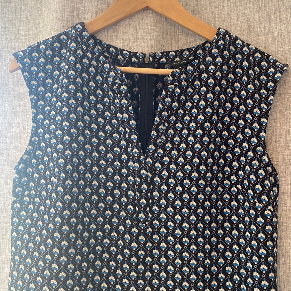 Anne Taylor sleeveless shift dress